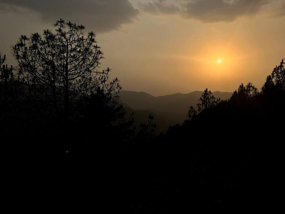 Residence Inn Homestay Shimla Exteriör bild