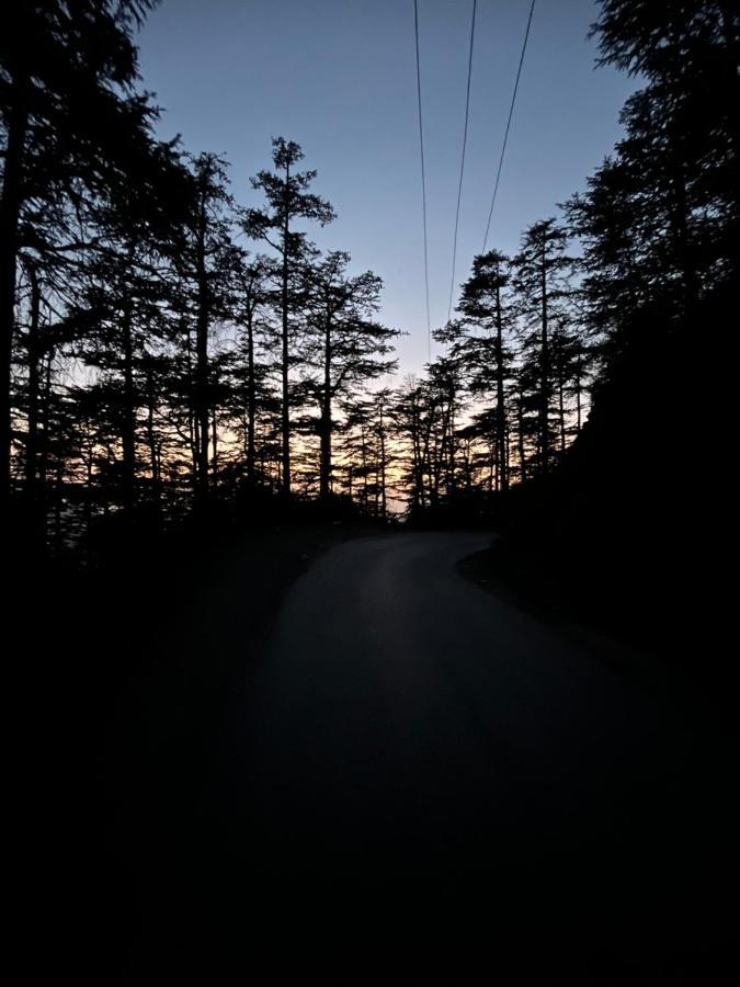 Residence Inn Homestay Shimla Exteriör bild
